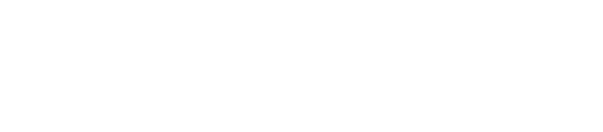 bundleIQ